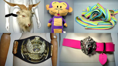 Image of the pool of prize submissions submitted by the contestants in the 'The boldest belt' task.