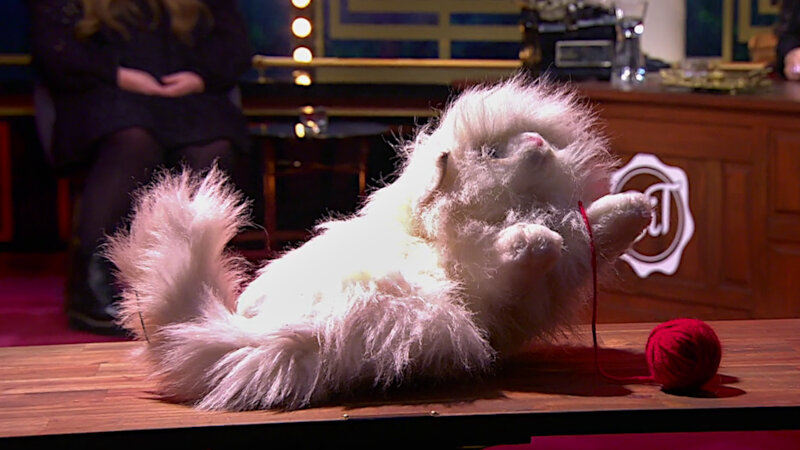 Image of the prize up for grabs in this episode: Missan, the stuffed toy cat from the first task in the episode.