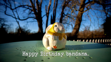 Photo of a white ceramic rabbit wearing a yellow scarf in the middle of a garden table (presumably outside the caravan), with the episode title, 'Happy Birthday bandana', superimposed on it.