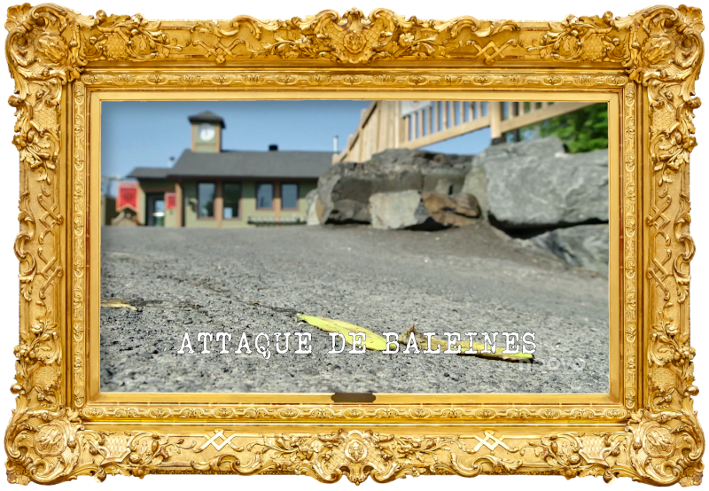 Image of a banana peel flattened against the paved surface of a car park (a reference to Mona de Grenoble's attempt at the 'Slide as far as possible' task), with the episode title, 'Attaque de baleine' ['Whale attack'], superimposed on it.