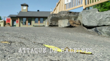 Image of a banana peel flattened against the paved surface of a car park (a reference to Mona de Grenoble's attempt at the 'Slide as far as possible' task), with the episode title, 'Attaque de baleine' ['Whale attack'], superimposed on it.