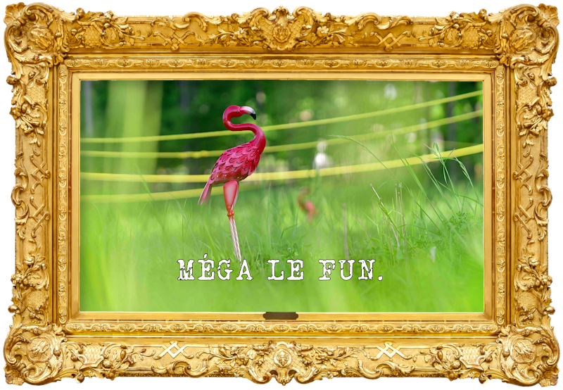 Image of a lawn flamingo on some grass, with yellow barriers in the background (a reference to the 'Get the duck down the hill' task), with the episode title 'Méga le fun' [Mega fun] superimposed on it.