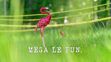 Image of a lawn flamingo on some grass, with yellow barriers in the background (a reference to the 'Get the duck down the hill' task), with the episode title 'Méga le fun' [Mega fun] superimposed on it.