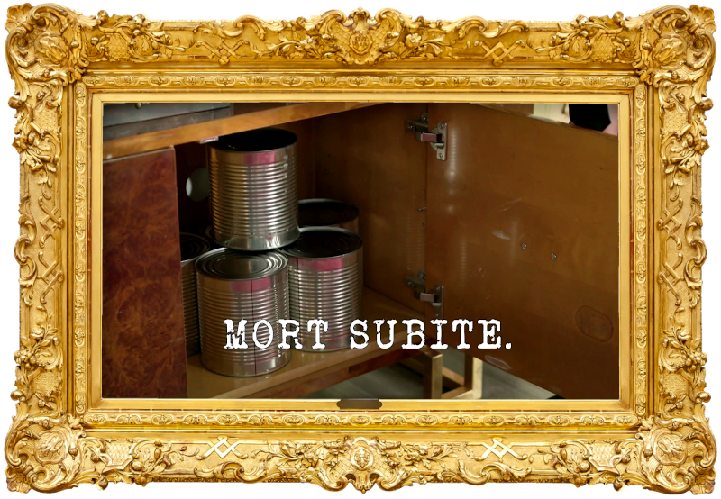 Image of a stack of large label-free tin cans inside a cabinet (a reference to the ‘Raise the water level to the top of the fish tank’ task), with the episode title 'Mort subite' ['Sudden death'] superimposed on it.