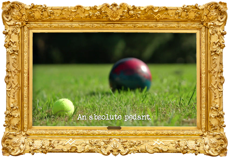 Image of a bowling ball and a tennis ball on a lawn (a reference to Abby Howells' attempt at the 'Get a hole-in-one' task), with the episode title, 'An absolute pedant', superimposed on it.