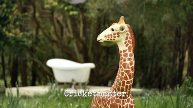 Image of a plastic giraffe in front of a bathtub on a lawn (a reference to the 'Perform the most passionate cricket appeal' task), with the episode title, 'Cricketmaster', superimposed on it.