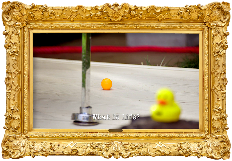 Image of an orange ping pong ball on a concrete platform, with a chrome pipe and an out-of-focus rubber duck on top of a tyre in the foreground (a reference to the 'Get the ping pong ball out of the bath' task), with the episode title 'What is life?' superimposed on it. Image of an orange ping pong ball on a concrete platform, with a chrome pipe and an out-of-focus rubber duck on top of a tyre in the foreground (a reference to the 'Get the ping pong ball out of the bath' task), with the episode title 'What is life?' superimposed on it.