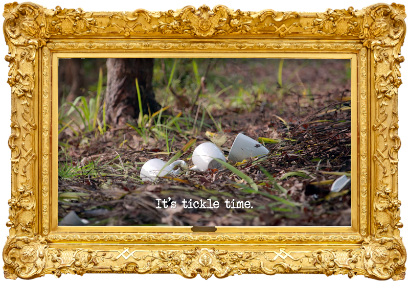 Image of some broken mugs on the ground in a wooded area (a reference to Dave Hughes' attempt at the 'Get the mugs into the bath in 75 steps' task), with the episode title 'It’s tickle time' superimposed on it.