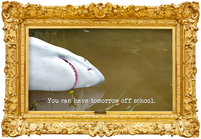 Image of a plastic replica white shark floating on the surface of the lake (a reference to Dave Hughes' attempt at the 'Create and debut a children’s character' task), with the episode title 'You can have tomorrow off school' superimposed on it.