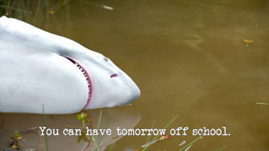 Image of a plastic replica white shark floating on the surface of the lake (a reference to Dave Hughes' attempt at the 'Create and debut a children’s character' task), with the episode title 'You can have tomorrow off school' superimposed on it.