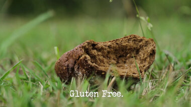 Image of a chunk of bread lying on a lawn (a reference to the 'Hit a piece of fruit with some bread' task), with the episode title, 'Gluten free', superimposed on it.