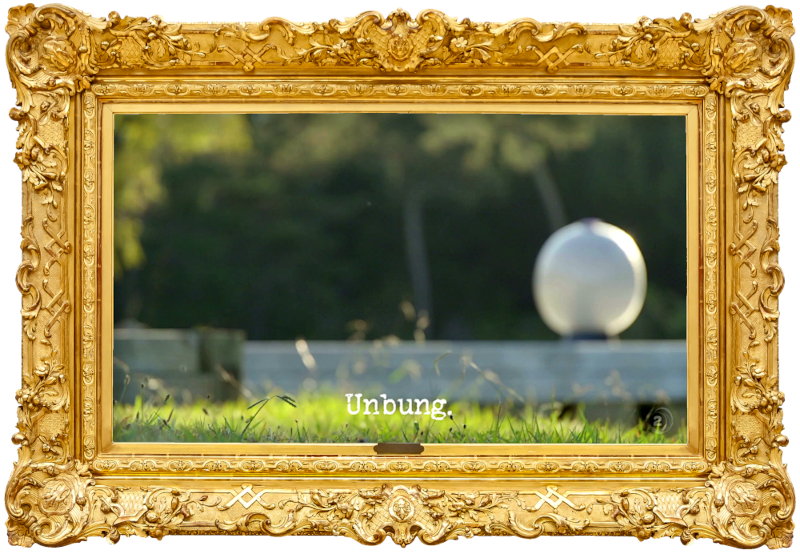 Blurred image of an exercise ball on the pond dock (a reference to the 'Get the Swiss ball into the kayak' task), with the episode title, 'Unbung', superimposed on it.