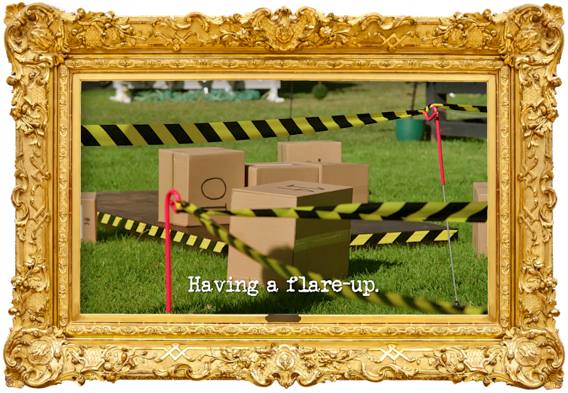 Image of some cardboard boxes with numbers written on them, strewn across a lawn and a low black platform, and surrounded by yellow and black striped caution tape (a reference to the 'Build the tallest cardboard box tower while performing impressions' task), with the episode title, 'Having a flare-up', superimposed on it.