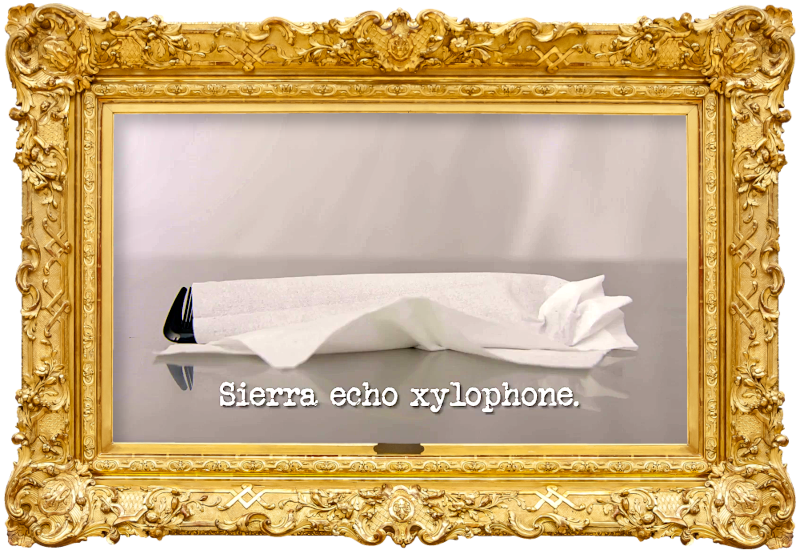 Image of a a black plastic comb wrapped in a sheet of tissue paper (a reference to Tofiga Fepulea’i’s attempt at the 'Make a new musical instrument' task), with the episode title, 'Sierra Echo Xylophone', superimposed on it.