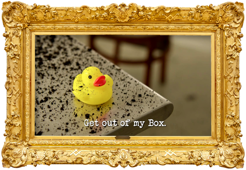Image of a rubber duck on the corner of the table in the lab, which has compost scattered across it (a reference to Jack Ansett's attempt at the 'Collect the most coins' task), with the episode title, 'Get out of my Box', superimposed on it.