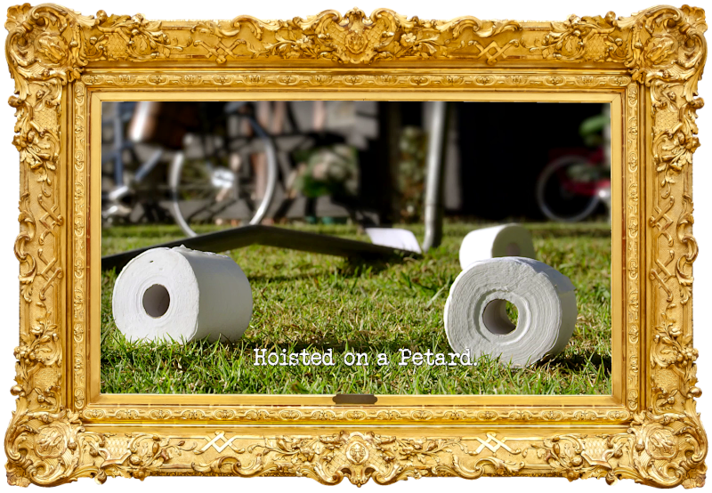 Image of several toilet rolls scattered on a lawn in front of the legs of a trampoline (a reference to the 'Build a toilet paper tower in the middle of a trampoline' task), with the episode title, 'Hoisted on a Petard', superimposed on it.