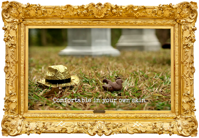Image of a sparkly gold hat and a small plastic toy bear lying on the lawn in front of some plinths (a reference to the 'Pick the right one' task), with the episode title, 'Comfortable in your own skin', superimposed on it.