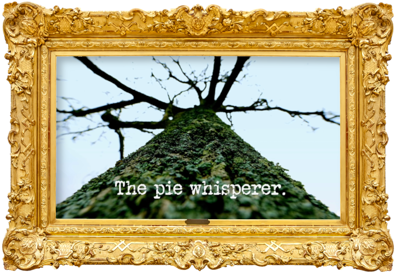 Image of a tree from the perspective of the base of the trunk, looking up (presumably a reference to Romesh Ranganathan’s ‘Tree Wizard’ from the 'Do something that will look impressive in reverse' task), with the episode title, ‘The pie whisperer’, superimposed on it.