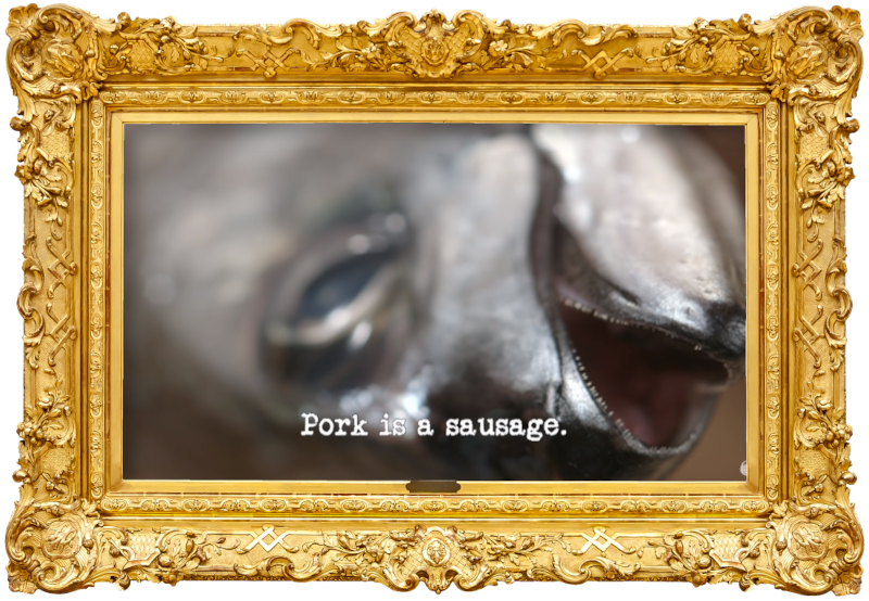 Cloe-up image of a dead fish's face (a reference to Doc Brown's attempt at the 'Create a nursery rhyme video' task), with the episode title, 'Pork is a sausage', superimposed on it.