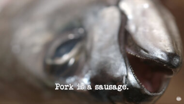 Cloe-up image of a dead fish's face (a reference to Doc Brown's attempt at the 'Create a nursery rhyme video' task), with the episode title, 'Pork is a sausage', superimposed on it.