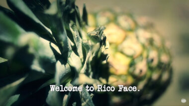 Image of a pineapple (a reference to the 'Conceal a pineapple on your person' task), with the episode title, 'Welcome to Rico Face', superimposed on it.
