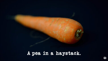 Image of a carrot on a dark background (presumably taken during the 'Make the best snowman' task), with the episode title, 'A pea in a haystack', superimposed on it.