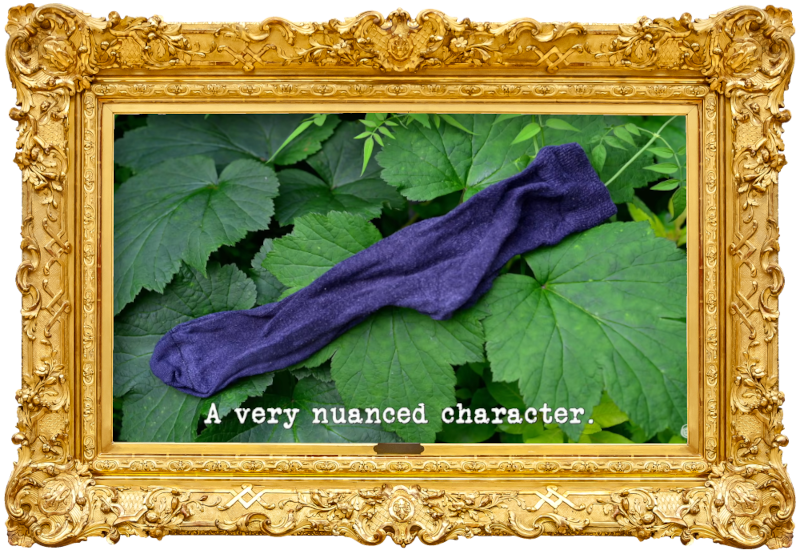 Image of a sock lying across the leaves of a plant (taken during the 'Spread your clothes far and wide' task), with the episode title, 'A very nuanced character', superimposed on it.