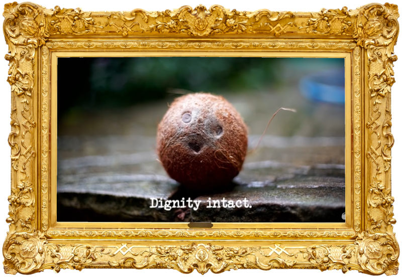 Image of of a coconut on a paved surface (presumably a reference to the 'Get some fruit into the bowl' task, or else to the series' recurring use of coconuts), with the episode title, 'Dignity intact', superimposed on it.
