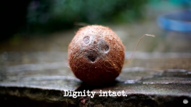 Image of of a coconut on a paved surface (presumably a reference to the 'Get some fruit into the bowl' task, or else to the series' recurring use of coconuts), with the episode title, 'Dignity intact', superimposed on it.