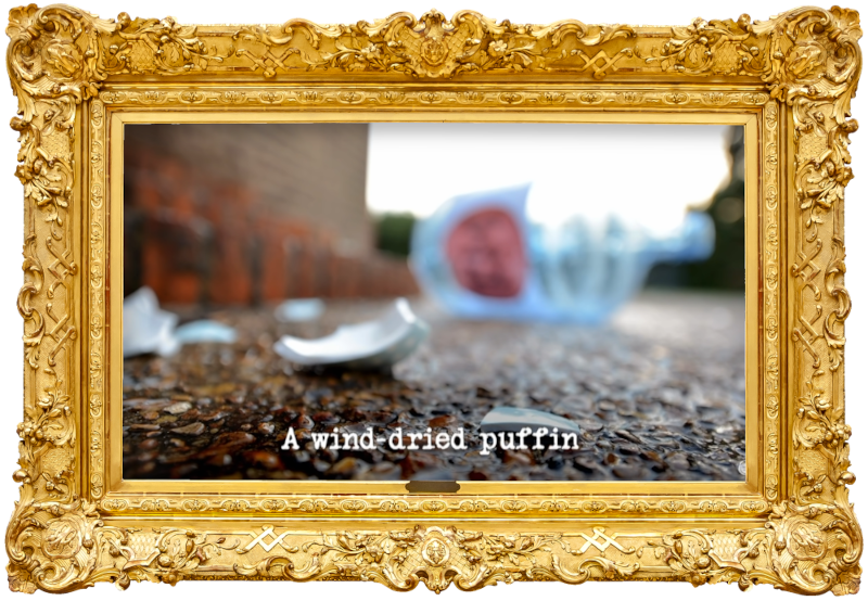 Image of the shattered pieces of a water cooler, on a concrete surface, with the water bottle visible but blurred in the background (presumably taken in the aftermath of Aisling Bea's attempt at the 'Create a remarkable water cooler moment' task), with the episode title, 'A wind-dried puffin', superimposed on it.