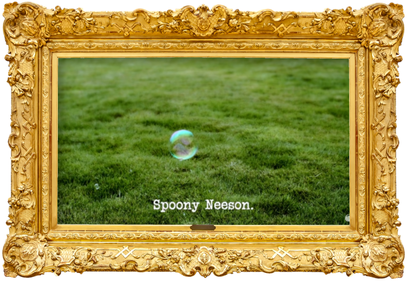 Image of a single soap bubble, floating above a lawn (a reference to the bubbles which appeared in the 'Light a candle using a cupcake' task), with the episode title, 'Spoony Neeson', superimposed on it.