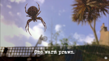 Image of a spider hanging in its web (presumably a reference to the 'Make something spin for the longest' task), with the episode title, 'One warm prawn', superimposed on it.
