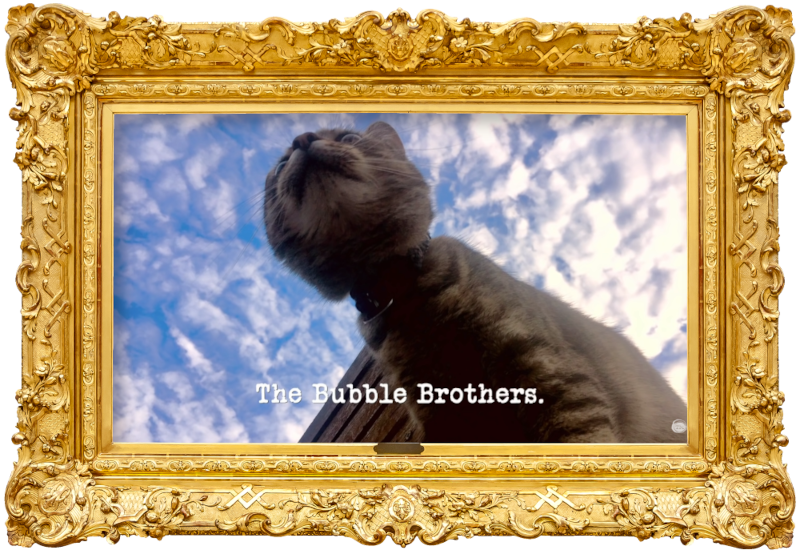 Image of a cat, taken from below (a reference to the 'The most pleasing cat-sized thing' task), with the episode title, 'The Bubble Brothers', superimposed on it.