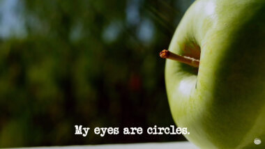 Image of a green apple (a reference to the apple used in the 'Predict what another contestant will do with an object' task), with the episode title, 'My eyes are circles', superimposed on it.