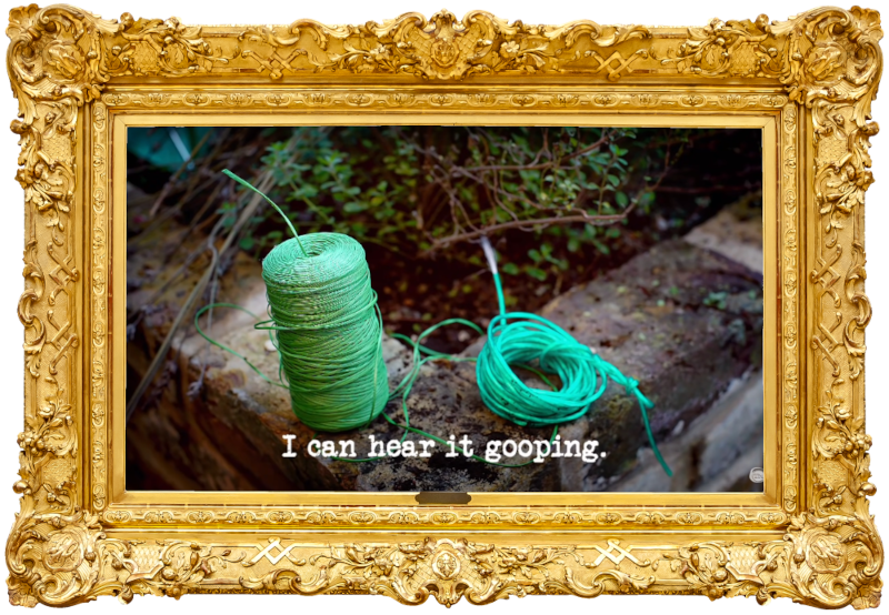 Image of a reel and a coil of garden twine, on top of a low wall (a reference to the 'Tie yourself up as securely as possible' task), with the episode title, 'I can hear it gooping', superimposed on it.