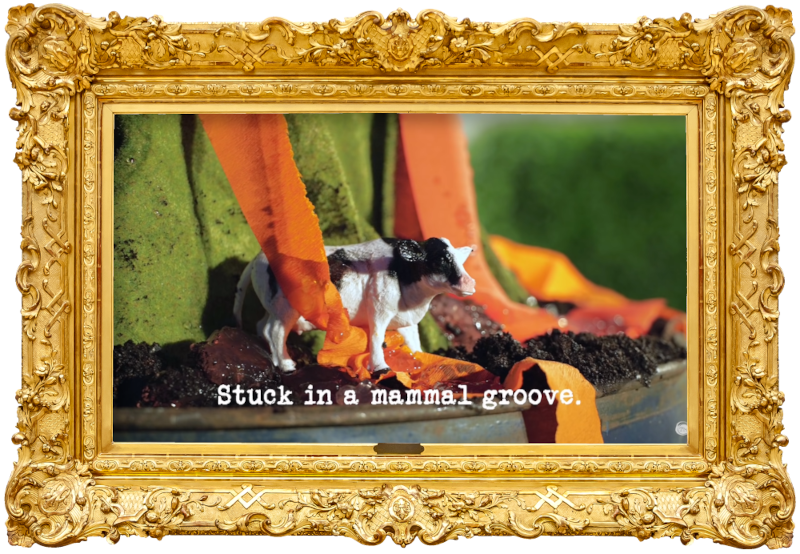 Image of a small toy plastic cow at the base of Sian's Gibson's volcano from the 'Build the best volcano' task, with the episode title, 'Stuck in a mammal groove', superimposed on it.