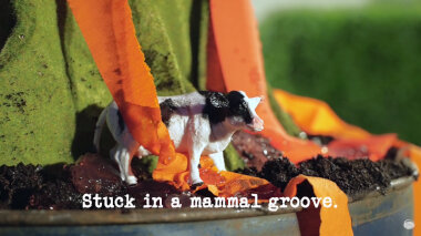 Image of a small toy plastic cow at the base of Sian's Gibson's volcano from the 'Build the best volcano' task, with the episode title, 'Stuck in a mammal groove', superimposed on it.