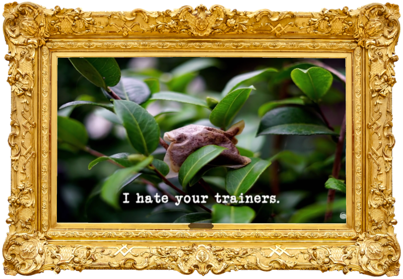 Image of a used teabag, discarded on a tree branch (presumably a very oblique reference to the 'Paint a howling wolf on a rotating teapot' task, and/or perhaps even the 'Bag the heaviest thing from the greatest distance' task?), with the episode title, 'I hate your trainers', superimposed on it.