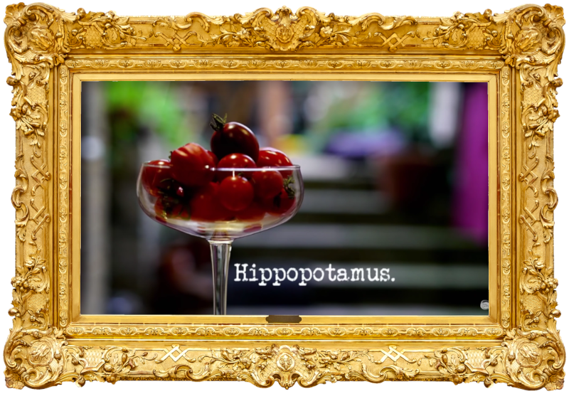 Image of a cocktail glass full of cherry tomatoes (presumably a reference to the 'Quietly make a cocktail' task), with the episode title, 'Hippopotamus', superimposed on it.