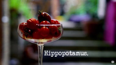 Image of a cocktail glass full of cherry tomatoes (presumably a reference to the 'Quietly make a cocktail' task), with the episode title, 'Hippopotamus', superimposed on it.