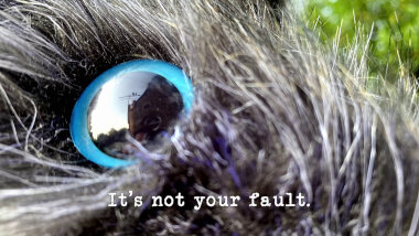 Image of the eye of the radio-controlled rat used in the 'Catch the rat' task, with the episode title, 'It’s not your fault', superimposed on it.