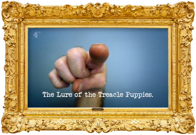 Image of a hand pointing directly at the camera (presumably a reference to the 'Have an argument' task), with the episode title, 'The lure of the treacle puppies', superimposed on it.