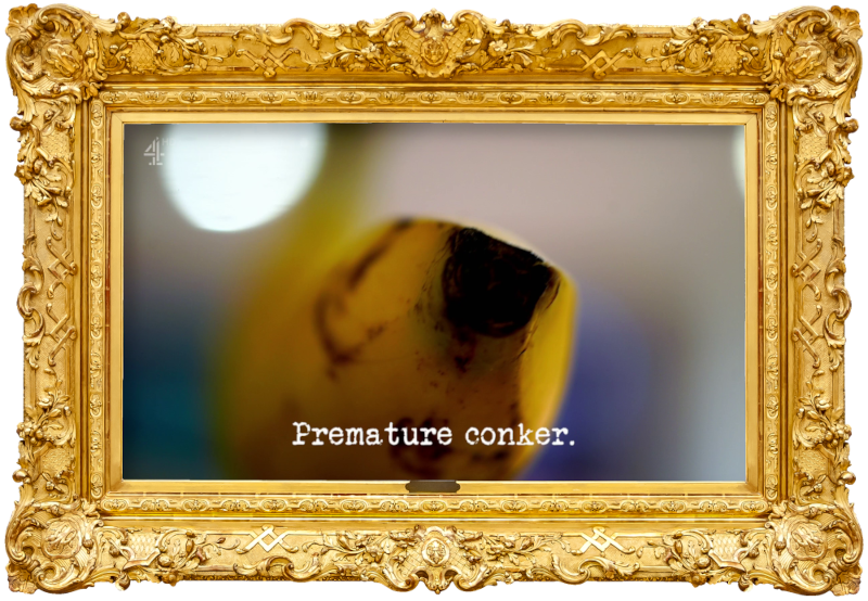 Image of the end of a banana (a reference to the 'Get all of the banana in the bottle' task), with the episode title, 'Premature conker', superimposed on it.