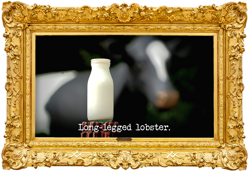 Image of a bottle of milk in front of Linda the cow (a reference to the 'Hold the milk bottles above the microwaves' task), with the episode title, 'Long-legged lobster', superimposed on it.