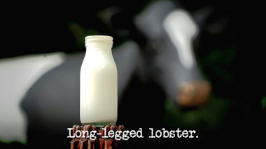 Image of a bottle of milk in front of Linda the cow (a reference to the 'Hold the milk bottles above the microwaves' task), with the episode title, 'Long-legged lobster', superimposed on it.