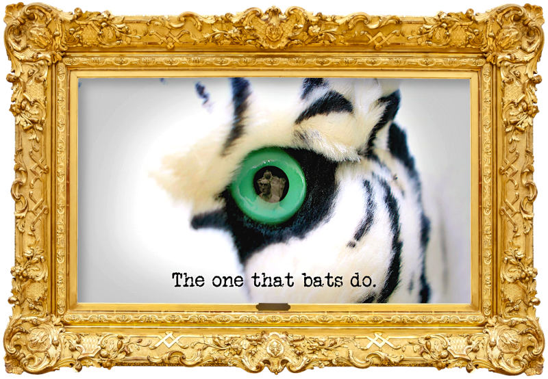 Image of the eye of stuffed toy white tiger (a reference to the 'Pin an alluring tail on the alluring animal' task), in which a reflection of the face of the statue of Greg Davies can be seen, with the episode title, 'The one that bats do', superimposed on it.