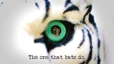 Image of the eye of stuffed toy white tiger (a reference to the 'Pin an alluring tail on the alluring animal' task), in which a reflection of the face of the statue of Greg Davies can be seen, with the episode title, 'The one that bats do', superimposed on it.