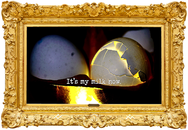 Photo of some eggshells in a cardboard egg tray, lit from within and below (a reference to the 'Efficiently shell an egg' task), with the episode title, 'It's my milk now', superimposed on it.