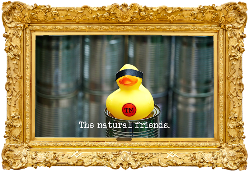 Photo of a rubber duck with black tape over its eyes, on top of a tin can (a reference to the 'Build a tower of cans in the lab' and 'Get the duck into the lake' tasks), with the episode title, 'The natural friends', superimposed on it.