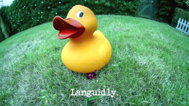 Photo of a large rubber duck sat on top of a pickleball ball (a reference to the 'Get the ball in the hole without touching it' and 'Get underneath the most unique things' tasks), with the episode title, 'Languidly', superimposed on it.